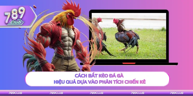 Cách bắt kèo đá gà hiệu quả khi phân kích chiến kê