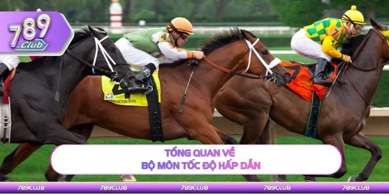 Thông tin cơ bản về bộ môn tốc độ hấp dẫn